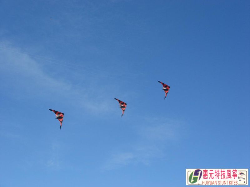 特技風箏-1-022